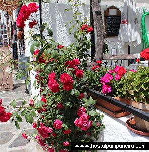Hoteles rurales Alpujarra