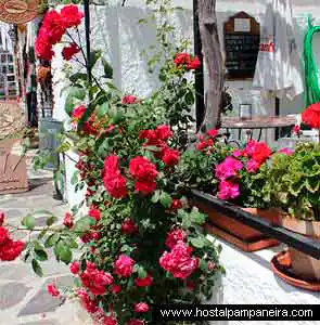 Hoteles rurales Alpujarra